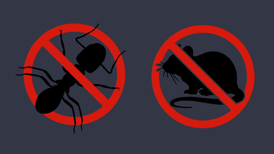 Pest Control Service in Clive, IA