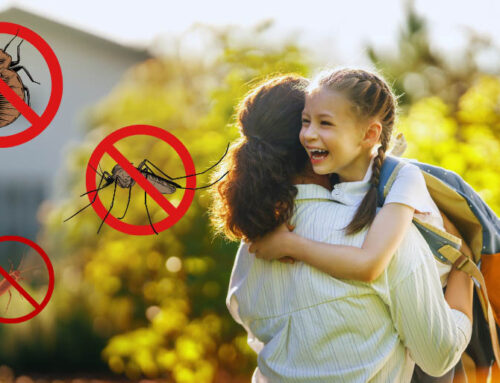 Back to School Pest Prevention: Pest Control Tips for Parents