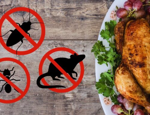 Thanksgiving Pest Control: Stop Pests from Finding a Warm Home