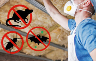 Attic Insulation and Pest Control