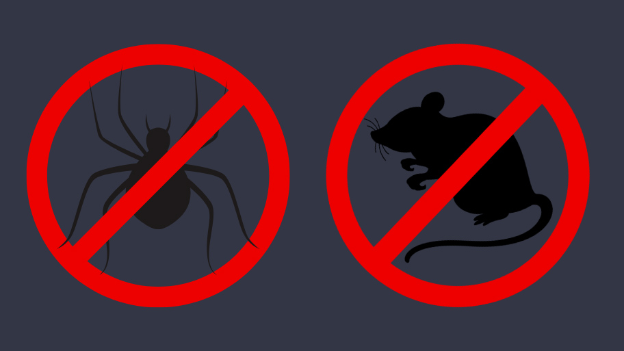 Pest Control Service in Ankeny, IA